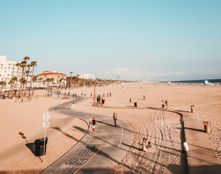 a beach with people and trees