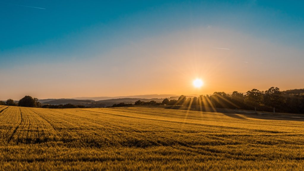 a field with a sunset in the background