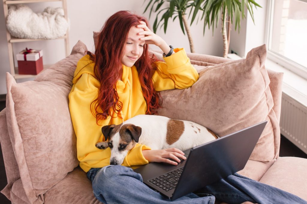 a person sitting on a couch with a cat and a laptop