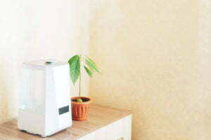a plant in a white container