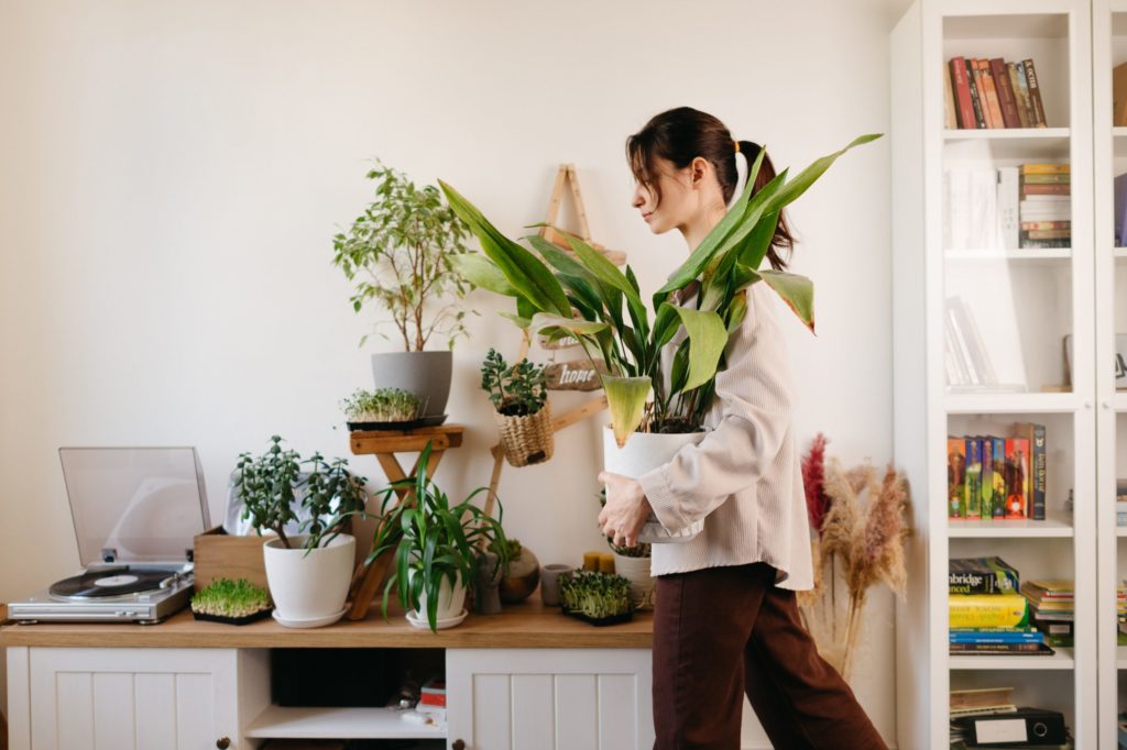 a person holding a plant