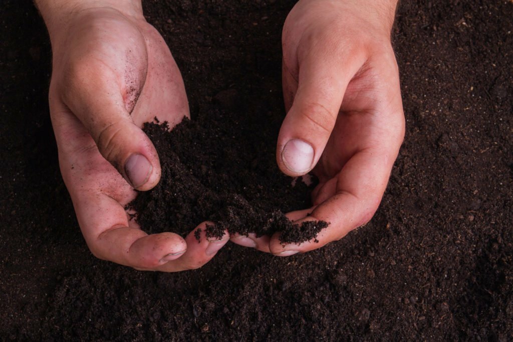 MAN HOLDING SOIL