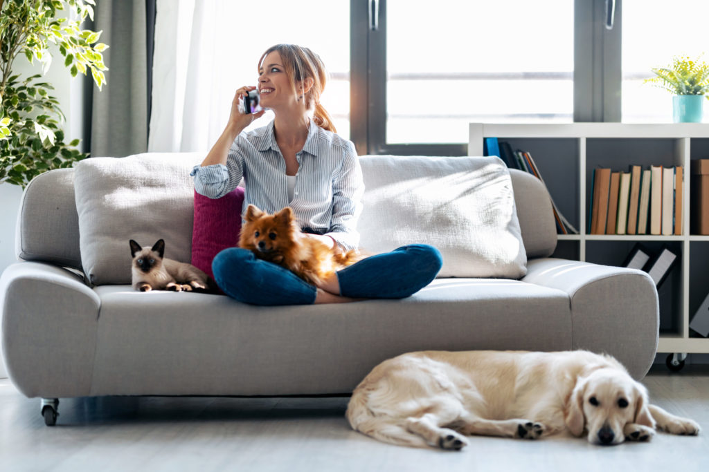 Pretty young woman talking with mobile phone while sitting in couch with her dogs and cat at home