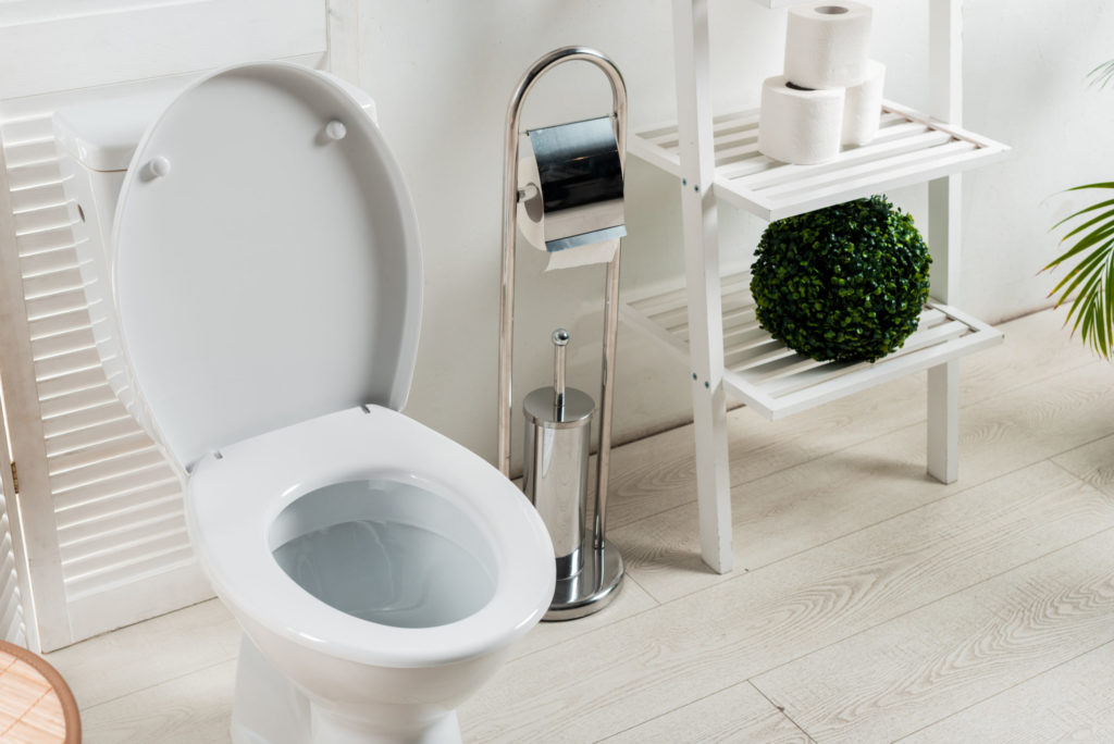 interior of white modern bathroom with toilet bowl near folding screen, toilet brush, toilet paper