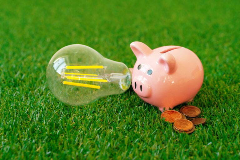 Piggy bank with energy saving lamp on grass