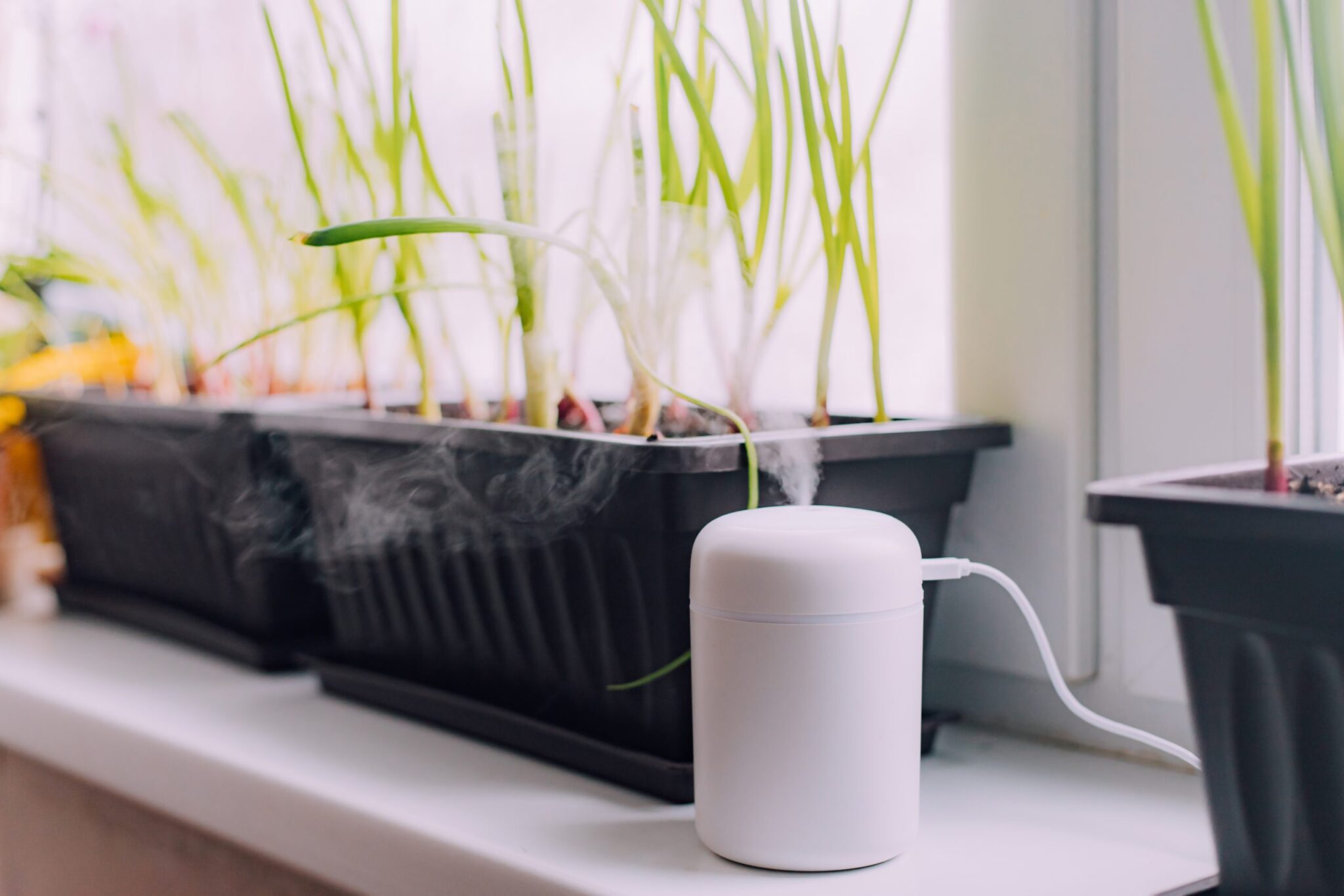 Signs of Poor Indoor Air Quality in Your Home LAUSD.