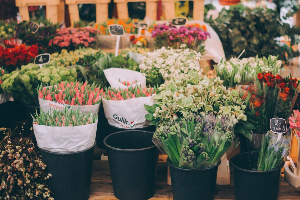 a group of flowers in buckets
